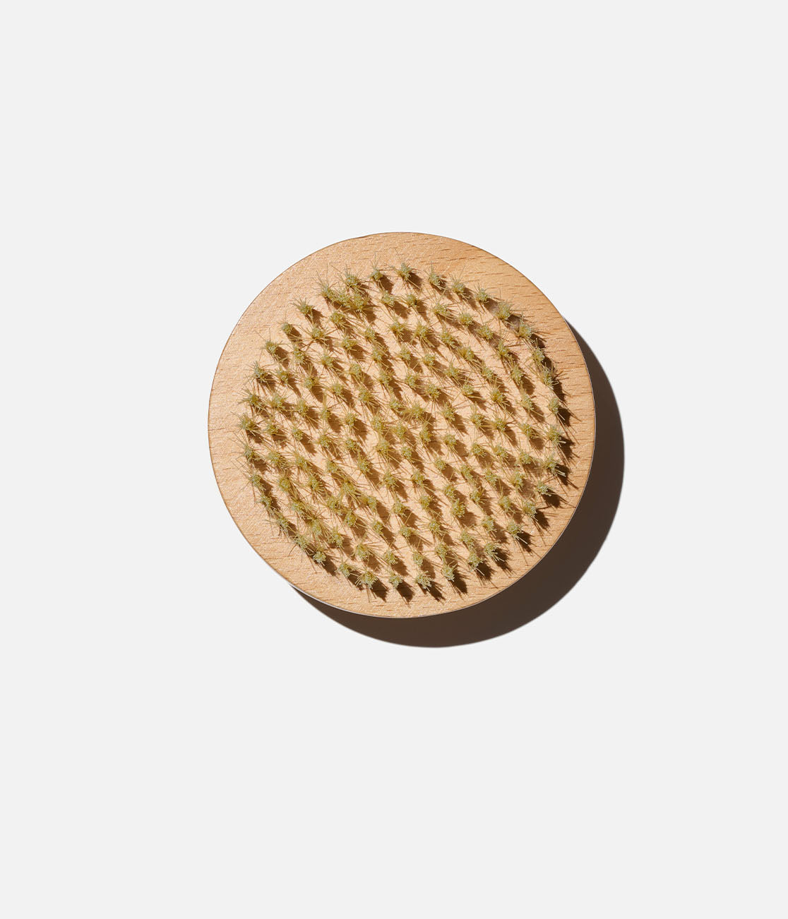 The Body Brush