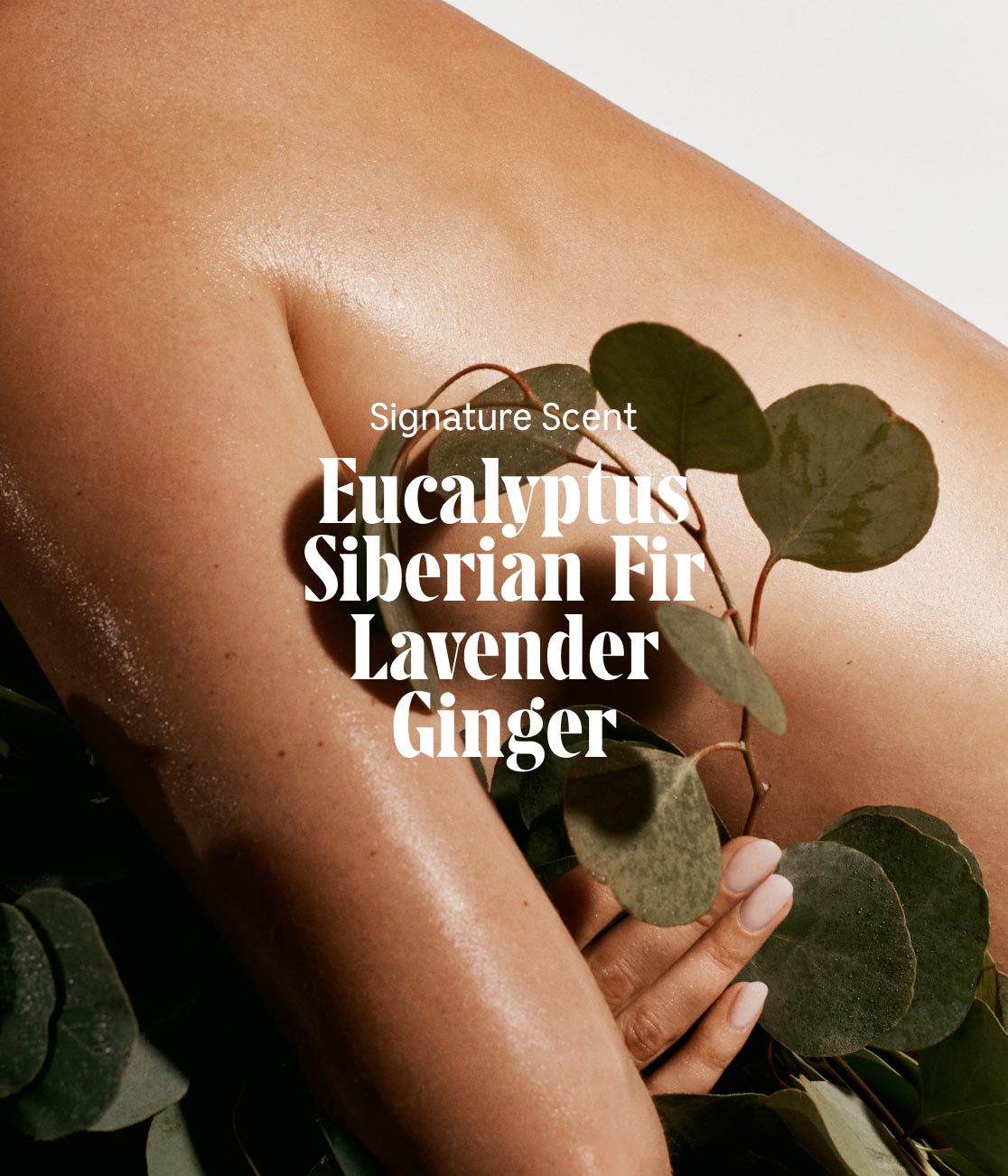 The Body Lotion 450 ml | Multi-Peptide