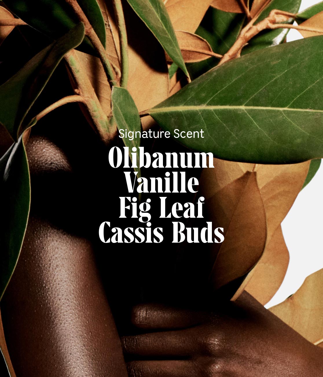 The Body Lotion 450 ml | Multi-Peptide